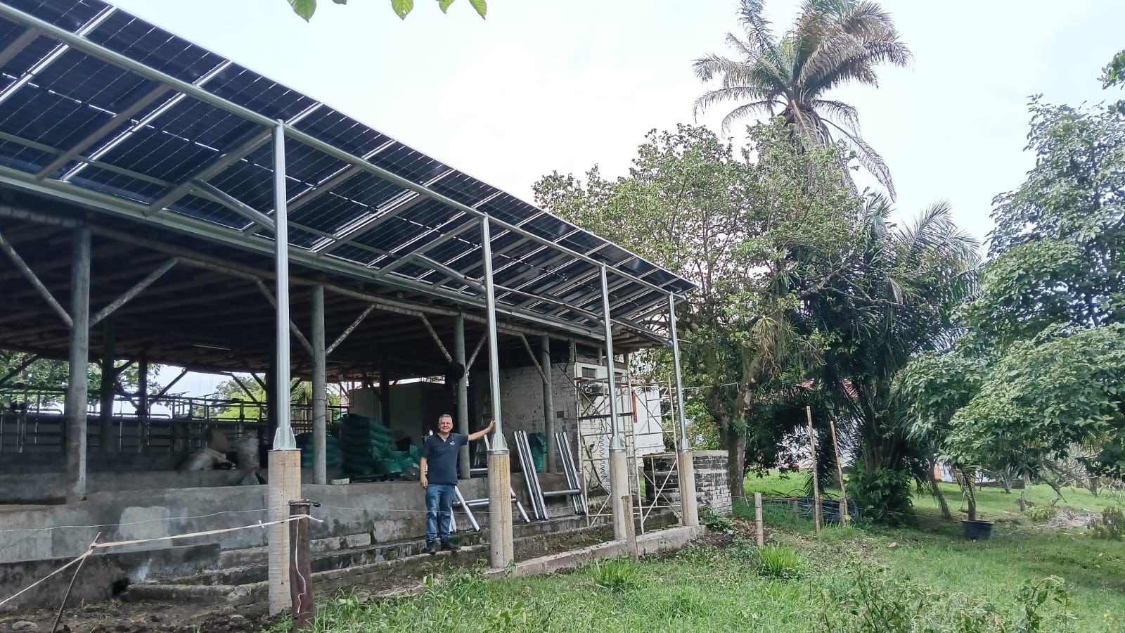 Proyecto Solar 41 — Paneles e inversor